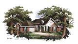 Front Rendering