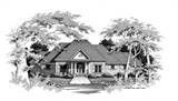 Front Rendering