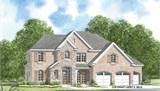 Front Rendering
