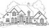 Front Rendering