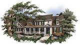 Front Rendering