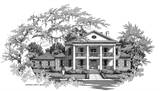 Front Rendering