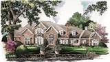 Front Rendering